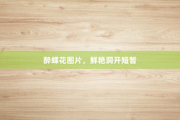 醉蝶花图片，鲜艳洞开短暂