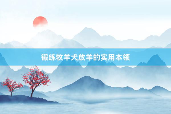 锻练牧羊犬放羊的实用本领