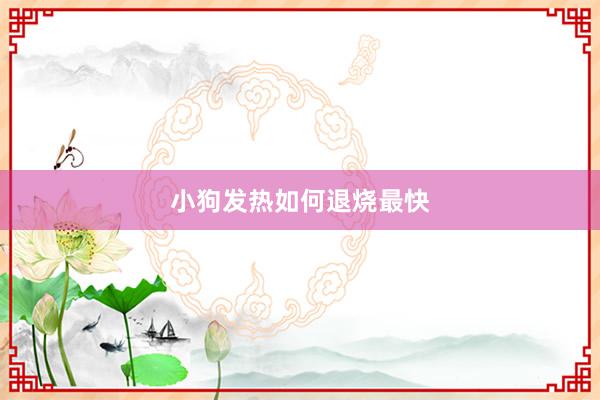 小狗发热如何退烧最快